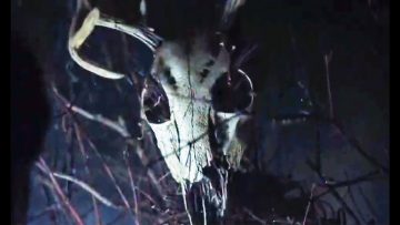 THE WRETCHED Official Trailer (2019) Horror Movie HD