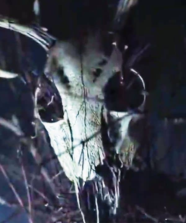 THE WRETCHED Official Trailer (2019) Horror Movie HD